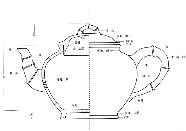 初识紫砂：如何看懂一把壶的构造